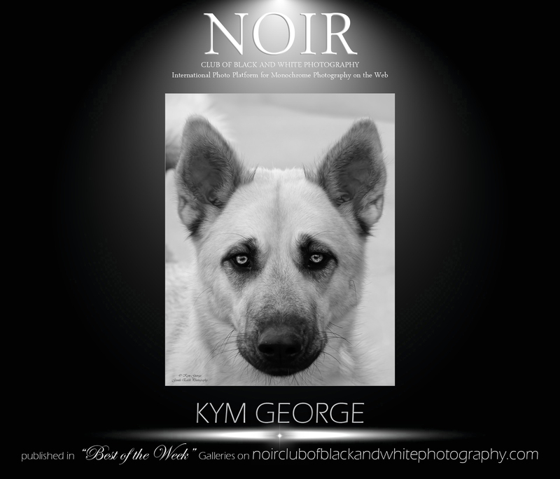 KYM 2 (1)(5).jpg