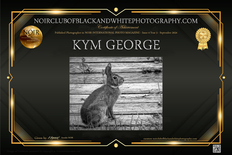 KYM 2 (2)(3).jpg