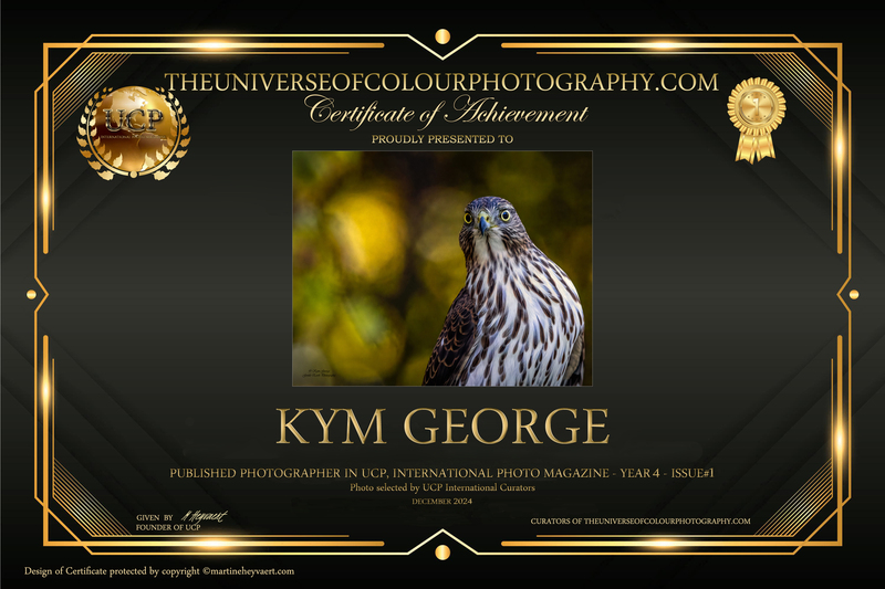 KYM GEORGE (1)(5).jpg