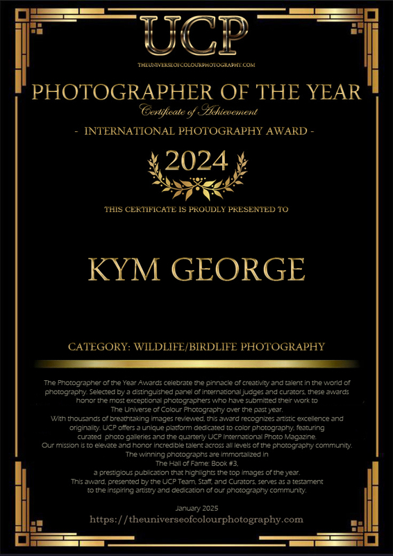 KYMGEORGE(2).jpg