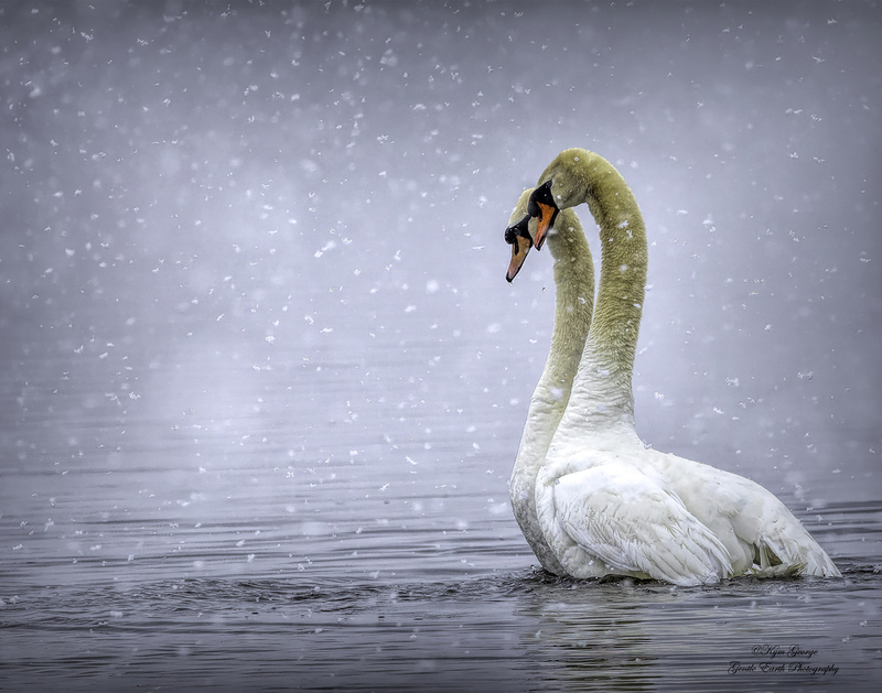 Snowy Date copy.jpg