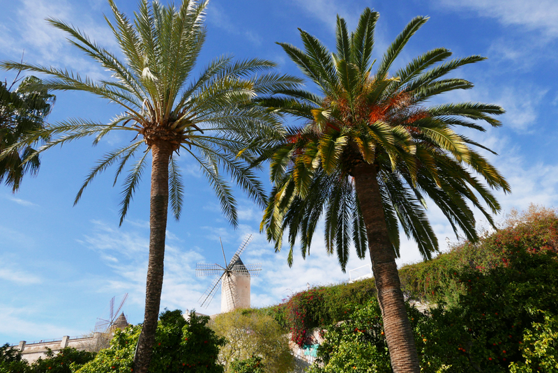 real_estate_04_L1120454.jpg :: Palma de Mallorca Real Estate Photographer 