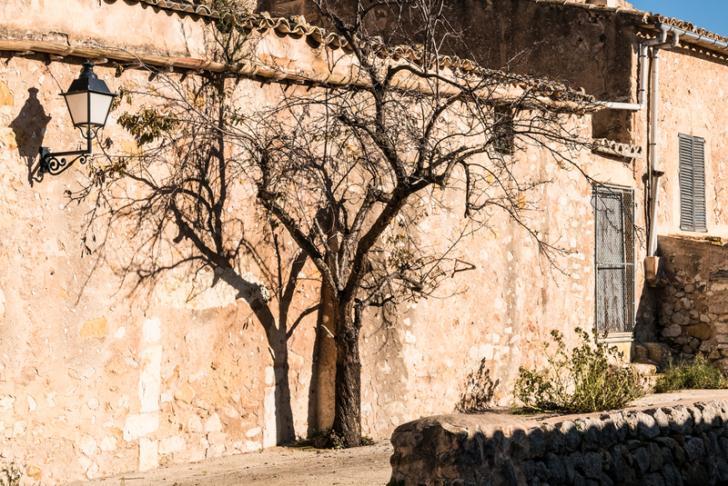 real_estate_16_L1100855.jpg :: Palma de Mallorca Real Estate Photographer 