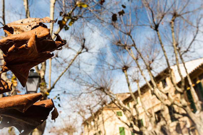 real_estate_39.jpg :: Palma de Mallorca Real Estate Photographer 