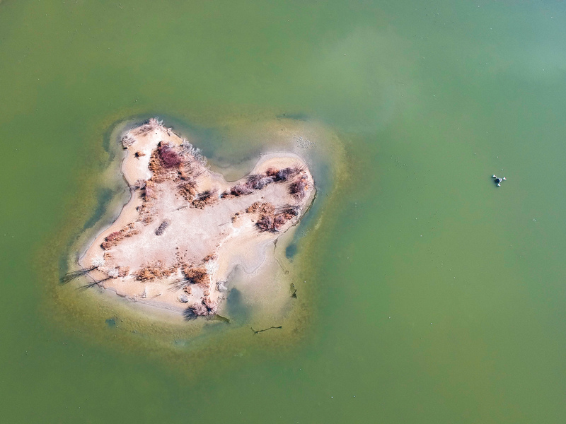 Cast Away(1).jpg :: DCIM/100MEDIA/DJI_0207.JPG