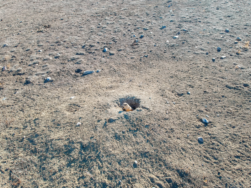 Hello.jpg :: DCIM/100MEDIA/DJI_0456.JPG