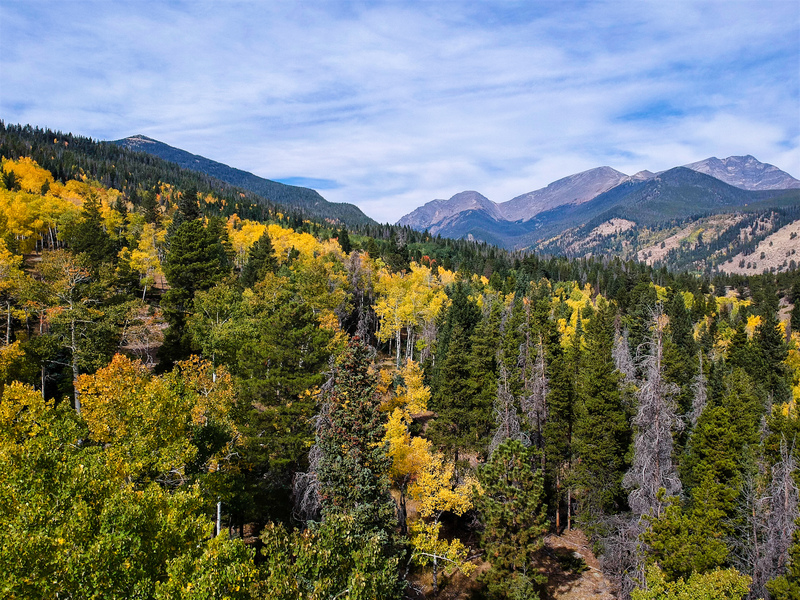 LRM_EXPORT_738874113726_20190714_182906873(1).jpg :: DCIM/100MEDIA/DJI_0110.JPG