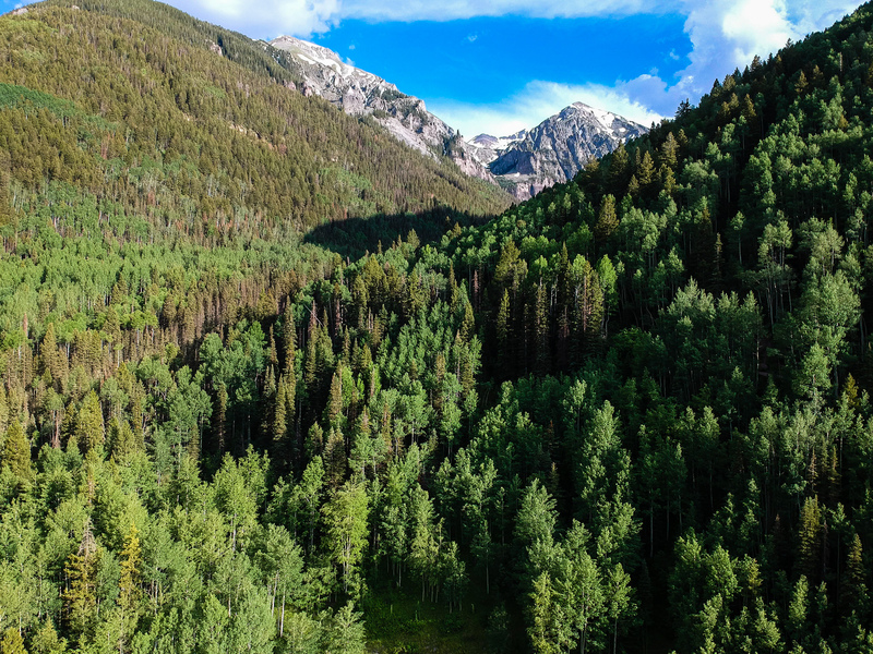 Majesty(1).jpg :: DCIM/100MEDIA/DJI_0353.JPG