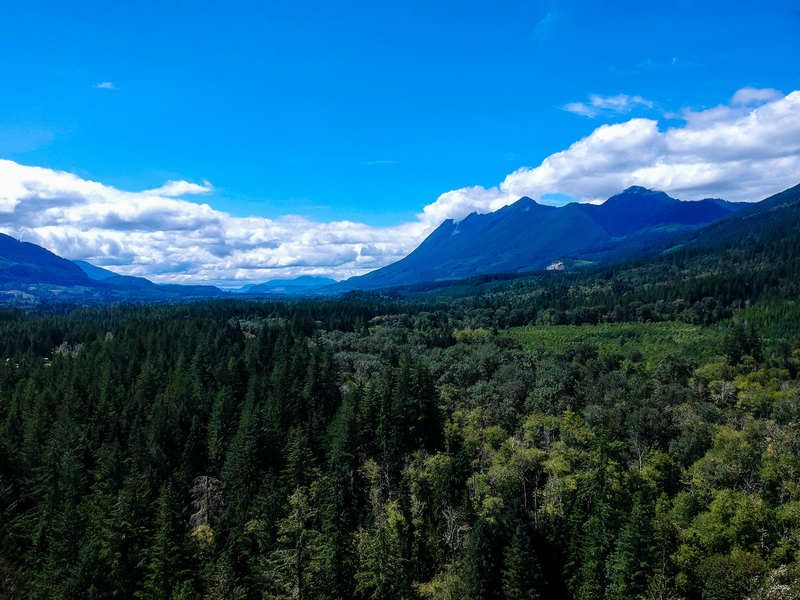 Peace(1).jpg :: DCIM/100MEDIA/DJI_0022.JPG