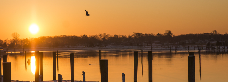 021_Pwinter dock_16x48_canvas.jpg