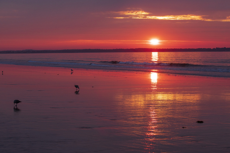 2M0A3965_sunset_OOB(1).jpg