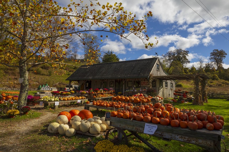 2M0A4769_farmstand.jpg