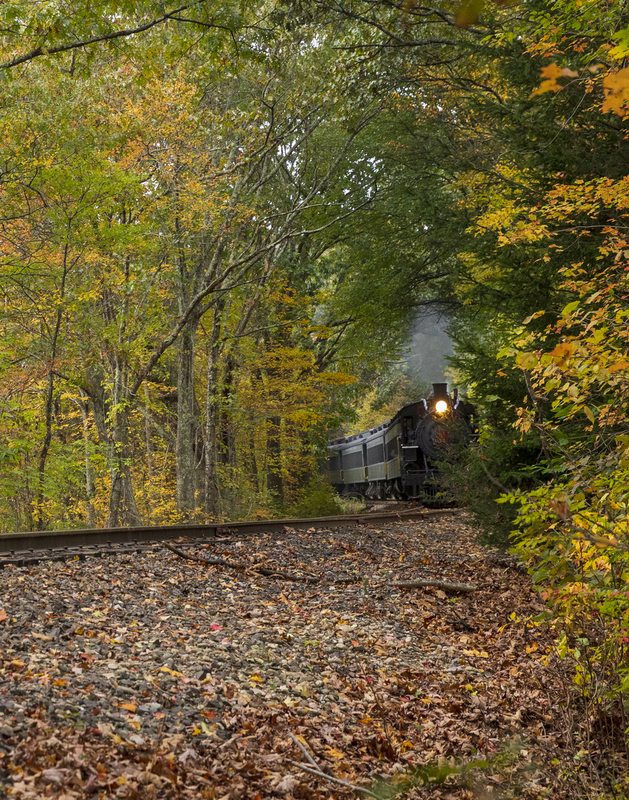 2M0A5196_train.jpg