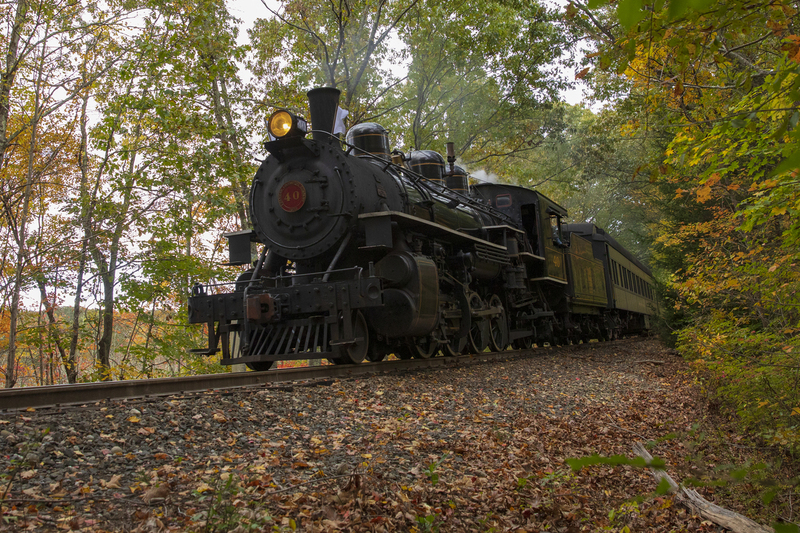 2M0A5211_train.jpg