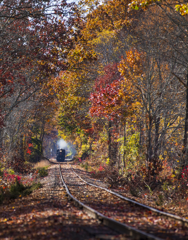 2M0A9256_Train(1).jpg