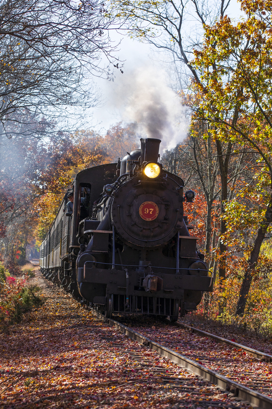 2M0A9282_Train(1).jpg