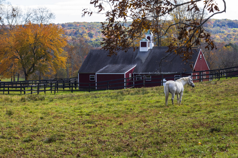Barn and horse_12x18_2M0A8227(1).jpg