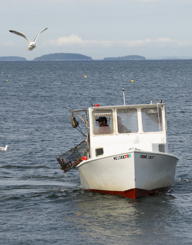 Boat_576A5974.jpg