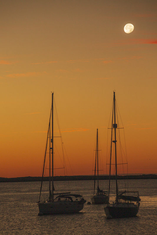Boston Harbor_576A8328(1).jpg