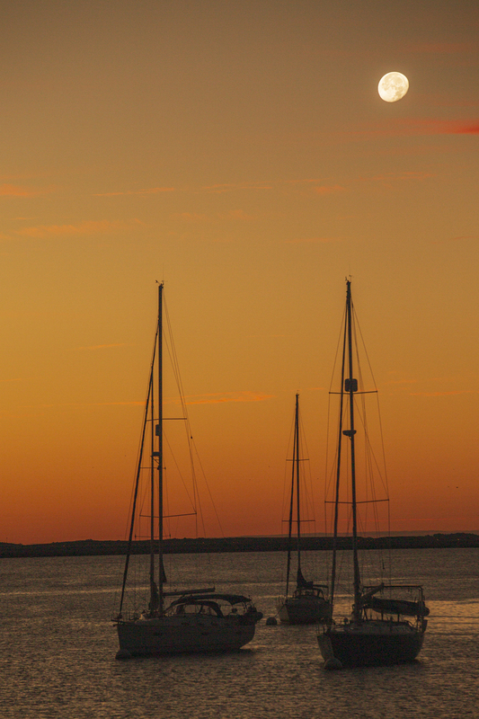 Boston Harbor_576A8328(2).jpg