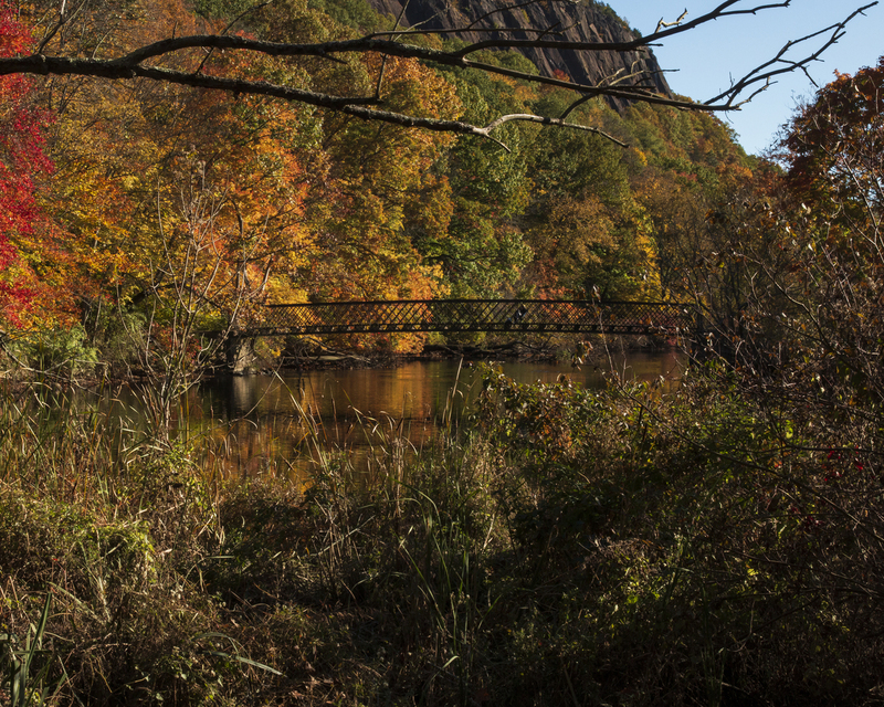 Bridge_0717.jpg