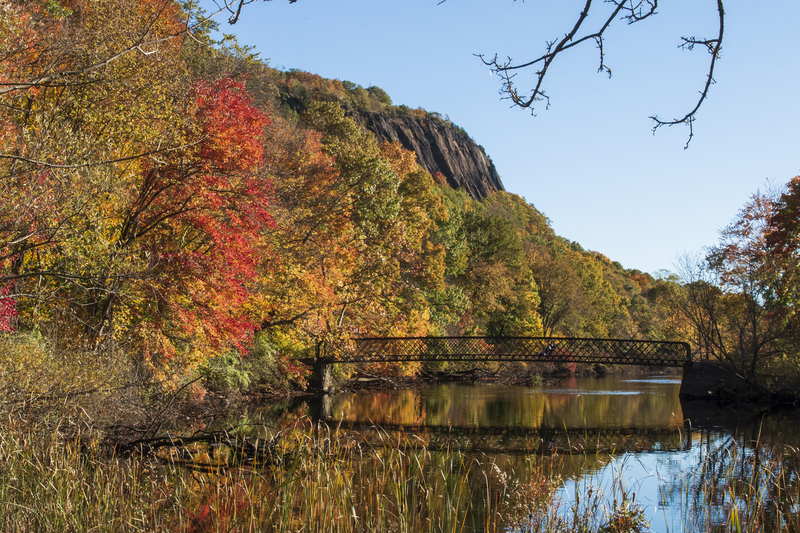 Bridge_0721.jpg