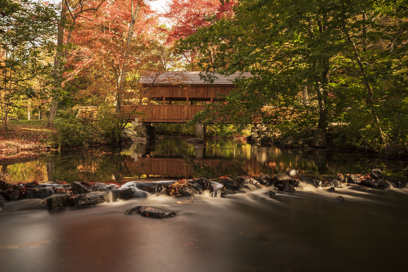 CT Devils Hopyard_Autumn_20x30_2M0A7610(1).jpg