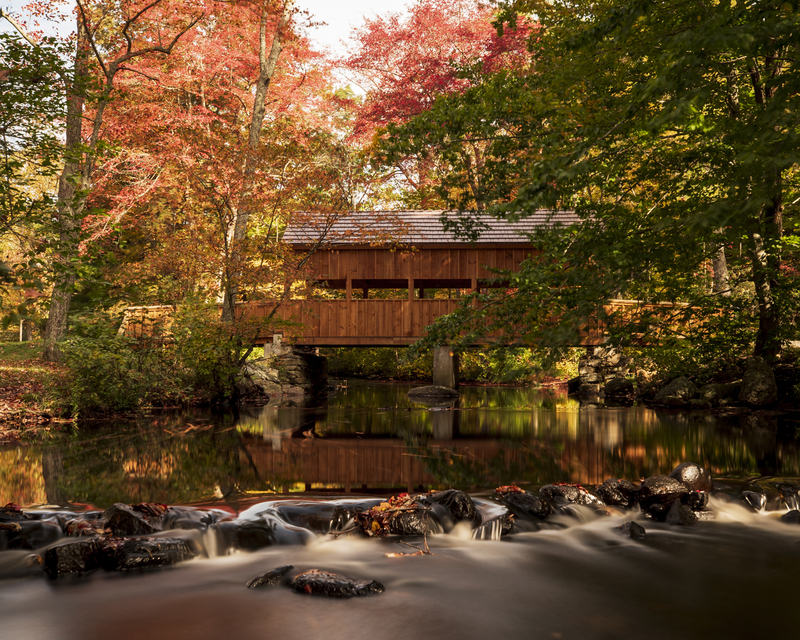 CT Devils Hopyard_Autumn_2M0A7610_16x20(1).jpg