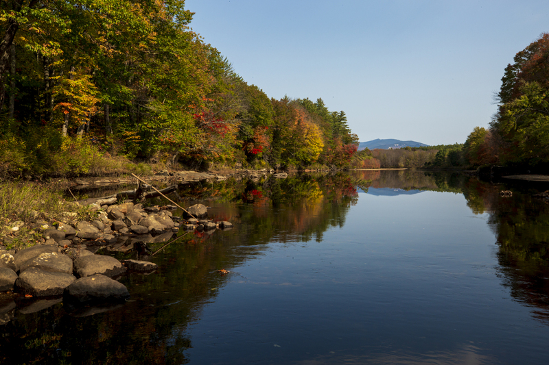 Fall Trees_576A0171.jpg