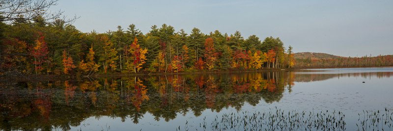 Fall trees_576A0052_16x48.jpg