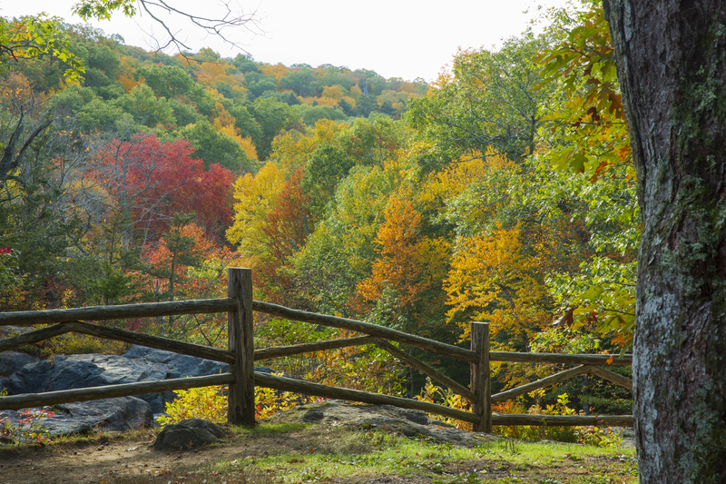Fence_082.jpg