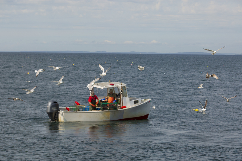 Lobster boat_576A5928.jpg