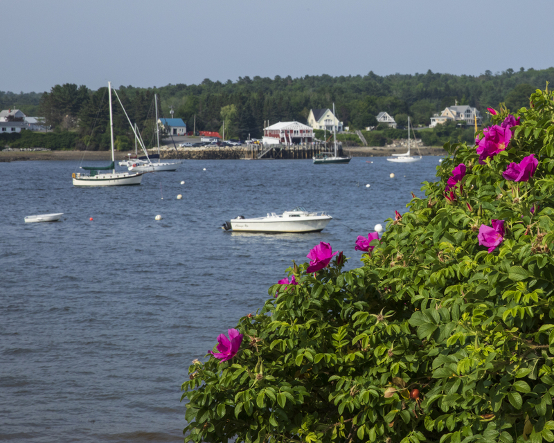 Maine Coast_2M0A5555.jpg