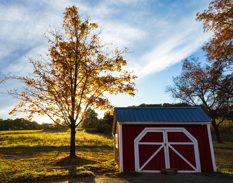Red Barn_2M0A8955(1).jpg
