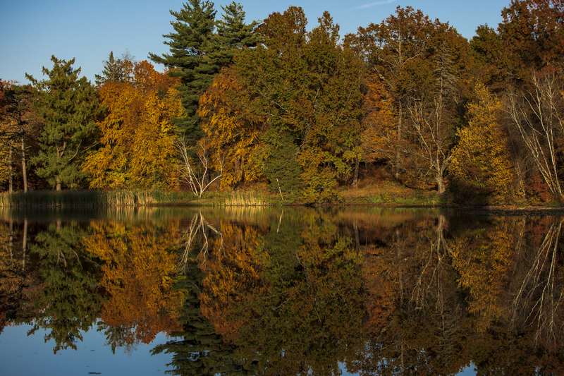 Reflections_2M0A9038(1).jpg