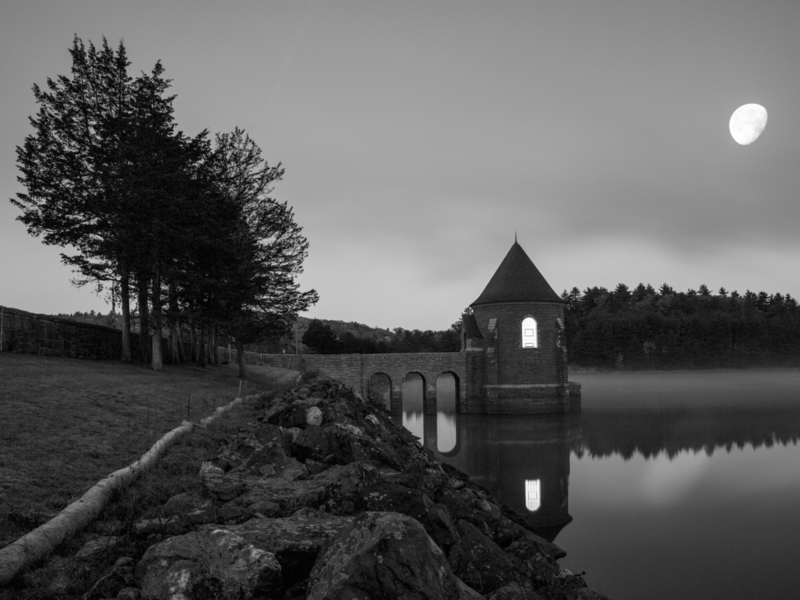 Saville_007BW 8x10 11x14 16x20 30x40(1).jpg