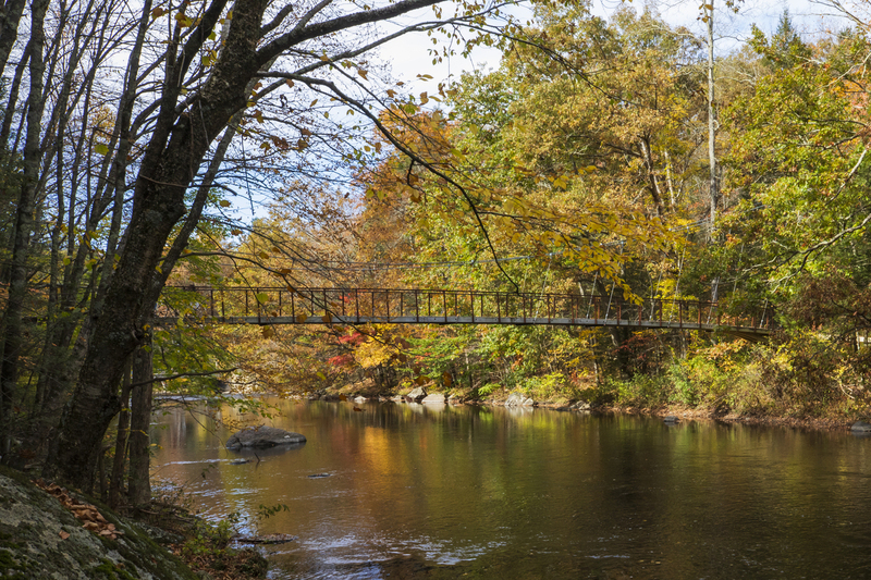 Suspended bridge_12x18_2M0A8158(1).jpg