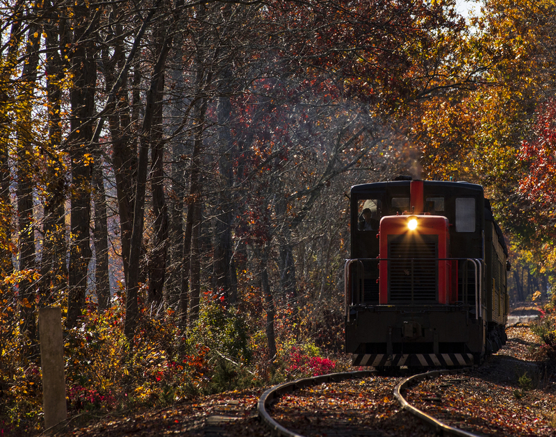 Train_2M0A9337(1).jpg