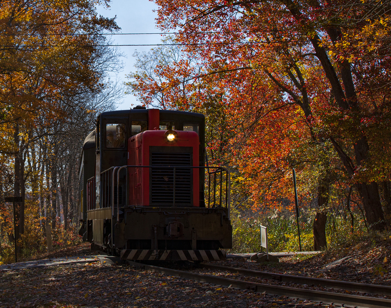 Train_2M0A9350(1).jpg