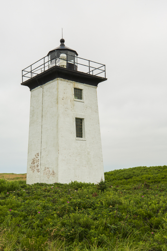 Wood Edge lighthouse_576A6432 8x12 12x18 16x24 20x30 24x36(1).jpg