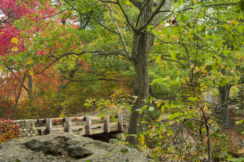 autum_155.jpg
