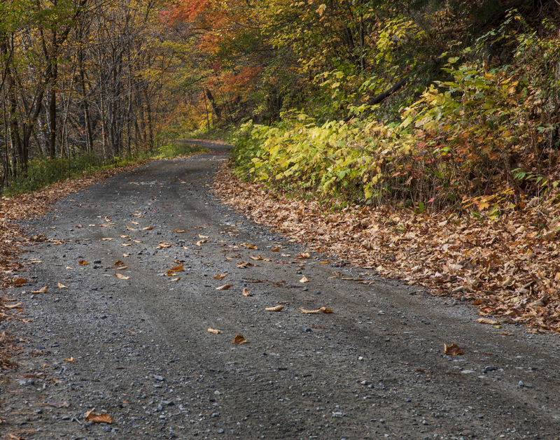 autumn road_2M0A8746(1).jpg