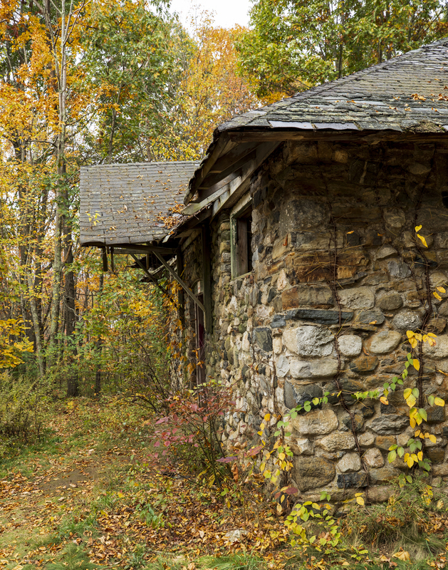 autumn rustic scene_11x14_2M0A8075(1).jpg