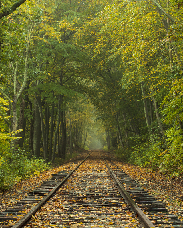 autumn_traintracks_16x20_2M0A7521(1).jpg