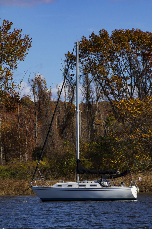 boat_2M0A9296(1).jpg