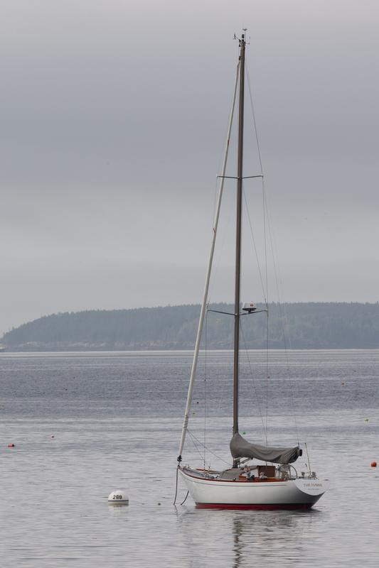 boat_576A5711.jpg