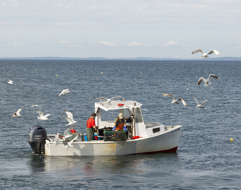 boat_576A5933.jpg