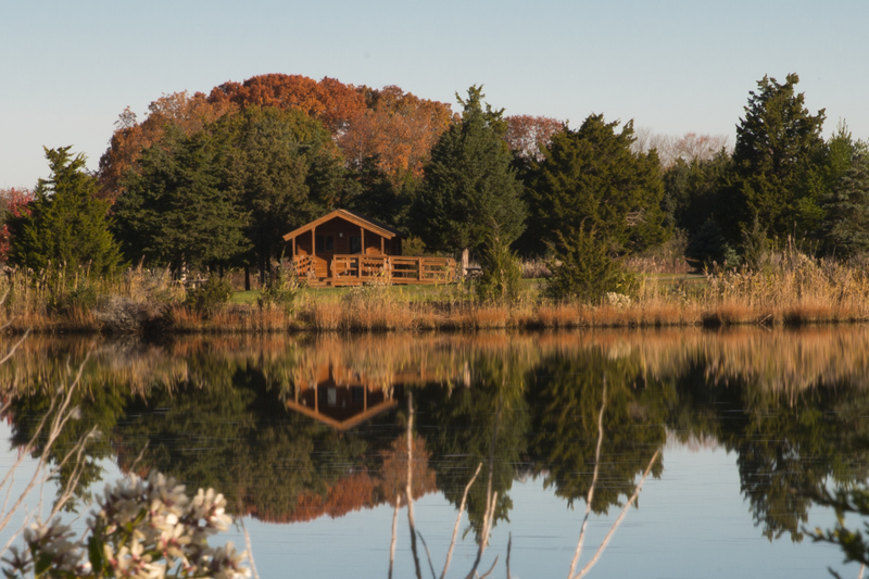 cabin_272.jpg