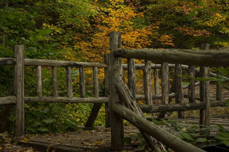 fence_126_12x18(1).jpg