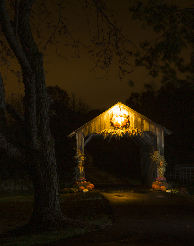 halloween Bridge_012.jpg